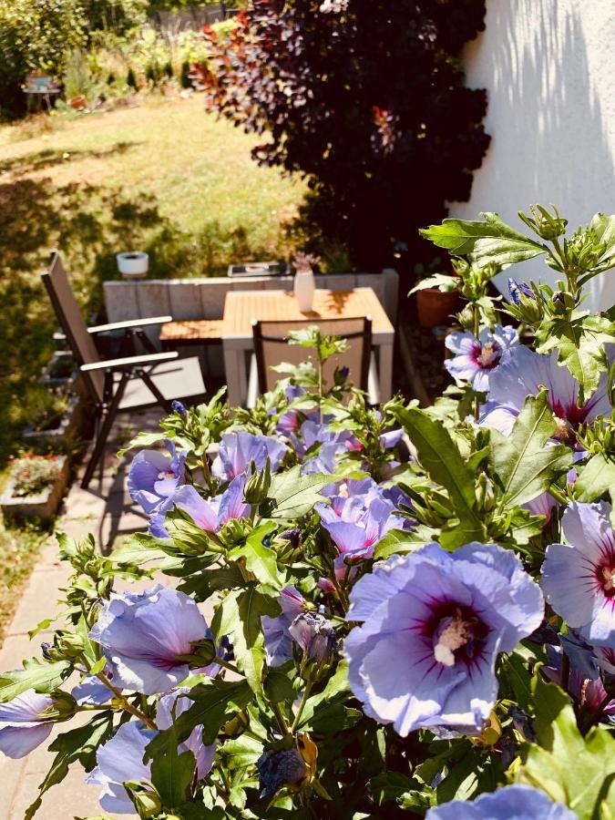 Ferienwohnung „Hygge“ In Liebenburg المظهر الخارجي الصورة